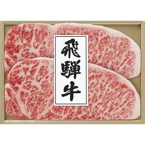 ˋT[CXe[Lp THS-120[2025Ε]