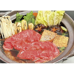 ƁEA5ꋍĂEԂԗpXCX SSMS-87[2025Ε]