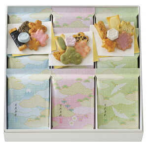 ڂ́Eꂼ AK530[2025Ε]