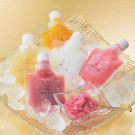 四代目大野屋氷室・2026夏限定飲むかき氷ギフトセット[2026お中元]