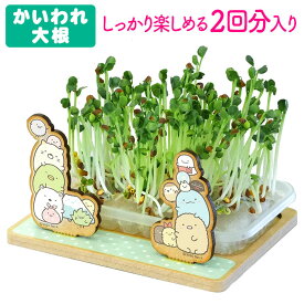 楽天市場 栽培キット おもしろの通販