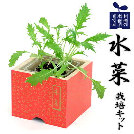 楽天市場 栽培キット水菜の通販
