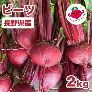 r[c 2kg X[W[ fgCgE_[Nbhr[c (Eʓr1,370~)