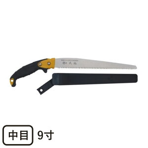 yP10{Ҍzی苘 n659PGE (ʓr1,370~) ̂ K[fjO ʎ