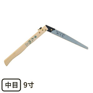 yP10{Ҍzی苘 n6069ڐ܍t (ʓr870~) K[fjO ʎ ̂