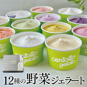centotto gelato JbvWF[g12Zbg yԌlz  䒆 蕨 Mtg@iEʓr1090~j