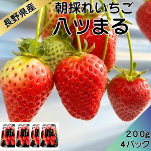 yMBYցzp ̂ꂢ c܂200g×4@ Mtg ̓  䒆 o^C 蕨  MB
