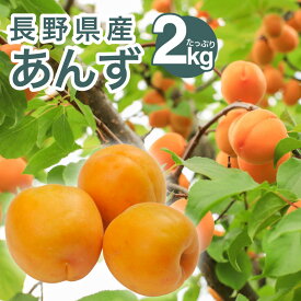 【予約販売開始】＼特別価格／生あんず ジャム用2kg 加工用 長野 信州 千曲産 ジャム コンポート 送料込 ※6月下旬頃より順次発送 （沖縄・離島は配送不可）