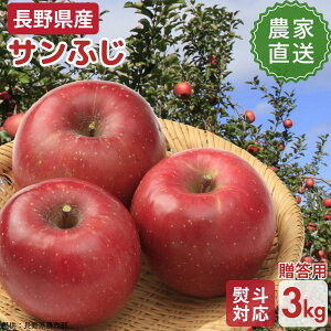 y\̔JnF11{`12{oח\zy_ƒz쌧Y Tӂ 3kg piʁj11`12ʑO c iꌧEnzsj