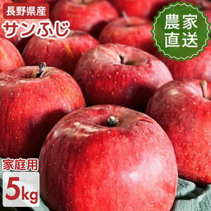 y\̔Jnzy_ƒz Tӂ ƒp 5kg (12`20ʁj 11{oח\  쌧 MB  S  (ʓr2,390~)