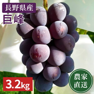 _\̔^y_ƒz쌧Y 햳 3.2kg@(ꌧEnzsj 9{ȍ~珇