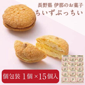 ちいずぷっちい 15個入ギフト 手土産 贈答 父の日 母の日 信州 送料無料