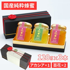 MB̉ԁX琶܂ꂽ@IZbgiAJVA120g× 1{ES 120g× 2{j