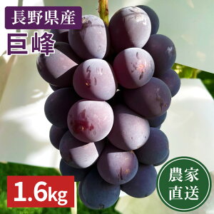 _\̔^y_ƒz쌧Y 햳 1.6kg@(ꌧEnzsj 9{ȍ~珇