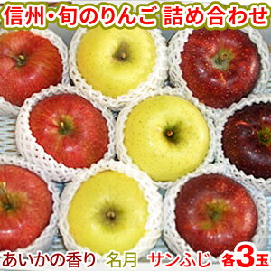\予約販売開始/ 信州・旬のりんご詰め合わせ(サンふじ/あいか/名月)3kg 3玉3種セット【11月中旬〜下旬以降発送予定】 送料込み(沖縄県・離島地域配送不可)