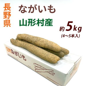 _\̔Jn^MBR`Y  5kg@y11{ȍ~oח\z݁@MB  iꌧEnzsj