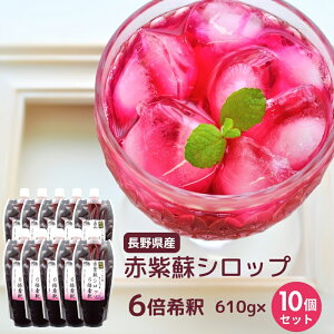 yo׊JnzԎhVbv 610gi500mlj×10{Zbgy6{߁z쌧 x̘[ xmYbЍ͔|Ԓ_sgp͔| ԂW[X ZkVbv iʓr1370~j