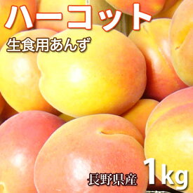 【予約販売開始】【長野県産】ハーコット 1kg 生食用あんず 送料込 ※6月下旬頃より順次発送 （沖縄・離島は配送不可）