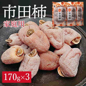 yG͏I܂z_Ԍ^yVzyo׊Jn܂zsc` 170g×3pbN  ` V ` hCt[c  쌧Y ق