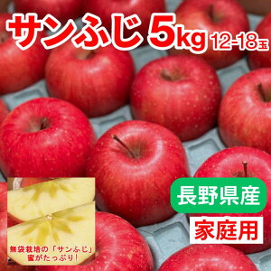 _\̔Jn^yƒpzyʁzTӂ5kg 12`18ʁy11{ȍ~oח\z MB   iꌧEnzsj