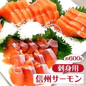 �y����̖��Y�z �M�B�T�[���� 600g �Ⓚ ���Y �M�B �T�[���� �h�g�p �h�g �� �V���P �C�N ���쌧 �Y�n���� ������ ������(���ꌧ�E�����n��z���s��)