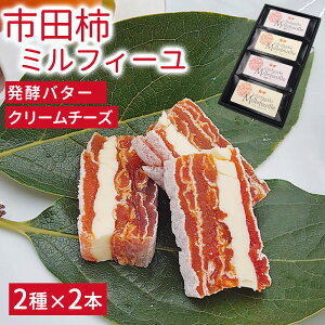 _\̔Jn^yVzsc`~tB[ 24{iyo^[EN[`[Yj ` V ` hCt[c  쌧Y ق