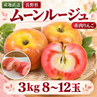 【P10倍還元中】＼昨年TV紹介で注目／ 赤肉りんご「ムーンルージュ」3kg 8〜12玉 送料込 【10月中旬順次…