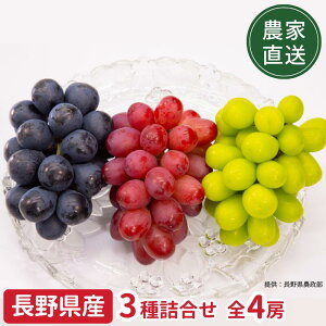 _\̔Jn^y_ƒzԂǂ3 4[Zbg VC}XJbg2[ iKmp[v1[ NC[[W(R)1[ S4[ 1.8`2.0kg  iꌧEnzsjy9{