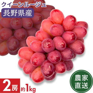 yP10{Ҍz_I^y_ƒz쌧Y NC[[W(R) 2[ 1kg  iꌧEnzsjy9{ȍ~oח\z Ԃǂ  MB ʕ t[c 