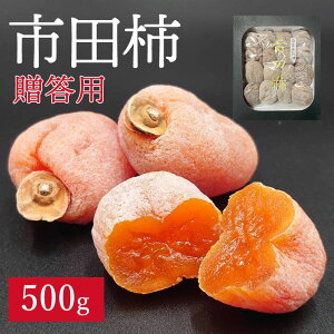 _\̔Jn^yVzsc` p500gi16`24j ` V ` hCt[c  쌧Y ق