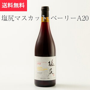 K}XJbgx[[A Tg[tt@[ KCi[i쌧 Ε Ε n MB v[g yY p 蕨 j