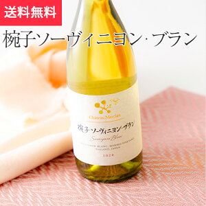 oq\[Bju750ml Vg[VoqCi[ Ch csi쌧 Ε Ε n MB v[g yY p 蕨 j