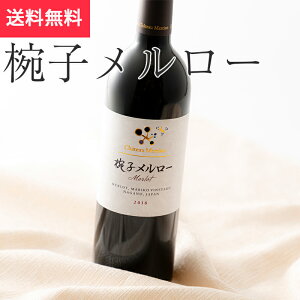 oq[750ml Vg[VoqCi[ ԃCt{fB csi쌧 Ε Ε n MB v[g yY p 蕨 j