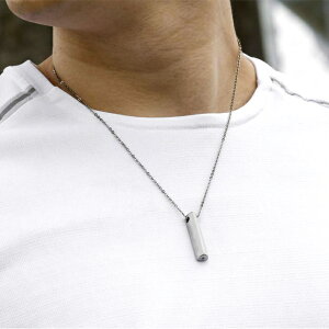 SEV Seeker model SSS(X[GX)EZuV[J[model SSS@2025N6{\łB