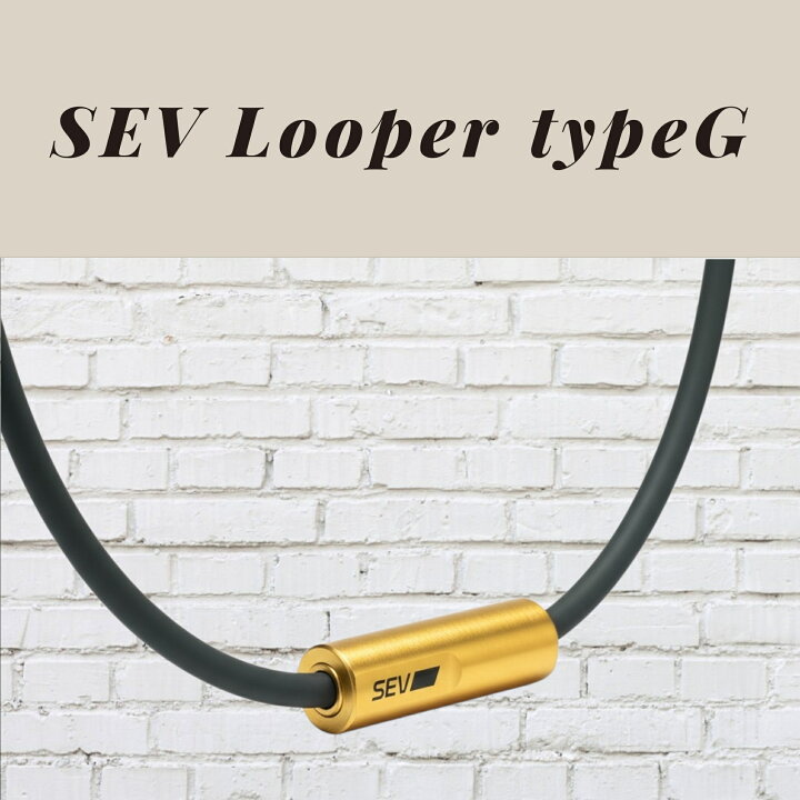楽天市場】【SEV セブ ルーパータイプG サイズ44/46/48cm カラー 