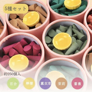  R[ 5Zbg WX~  [Y  x_[     