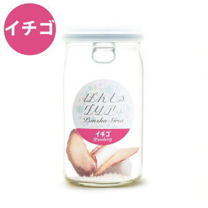 i[J[Ɠsjۂ񂵂OA  14g FARM8 { TOA hCt[c ͂ {𒍂Ńt[eB[ȓ{JNe