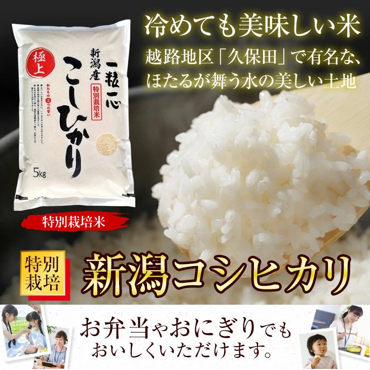 特別栽培米新潟県産コシヒカリ5k - 米・雑穀・粉類
