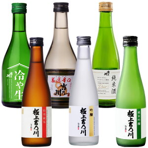 (yVX[p[SALE)gT 6 ݔ׃Zbg 300ml 6{ ɏgT쏃ċ  ʏ PAIR Ih ␶ ̐lC gT삪ׂ݂ł