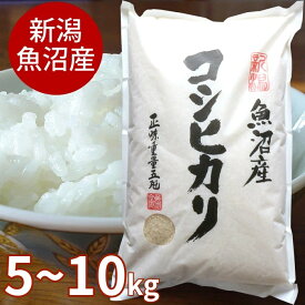 魚沼産 コシヒカリ 5kg または 10kg 令和7年産新米 早川米穀店 新米 新潟県産 長岡市 単一原料 送料無料 白米 精米 産地直送 産直 直送 新潟 長岡 新潟産 お米 こめ 新潟米 ご飯 ごはん 美味しい
