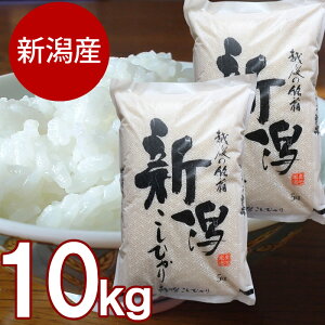 VY RVqJ 5kg ܂ 10kg ߘa7NYV čX VYЂ j yY Mtg v[g 蕨  VY Pꌴ   Yn Y  VY  
