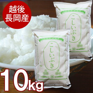 【産地直送】新潟産 こしいぶき 5kg または 10kg 令和7年産新米 新潟県産 こしいぶき 長岡市 単一原料 送料無料 白米 精米 産地直送 産直 直送 新潟 長岡 新潟産 お米 こめ 新潟米 ご飯 ごはん