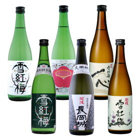 越後雪紅梅 日本酒 6種類 飲み比べ セット 720ml 6本 普通酒 辛口+8 本醸造 長岡城 純米一心 特別純米 長谷川酒造日本酒 お酒 ギフト 贈り物