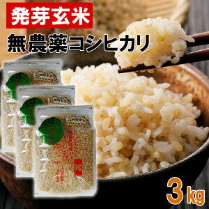 _ 엿 O Iׂ 1kg 2kg 3kg VYRVqJ _Ew엿sgp nnElyYnz BL ̂Ђ j yY Mtg v[g 蕨 s 