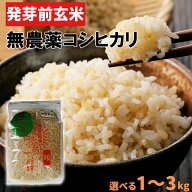 【1000円OFFクーポン】無農薬 無肥料 発芽前玄米 選べる 1kg 2kg 3kg 新潟県産コシヒカリ 農薬・化学肥料…