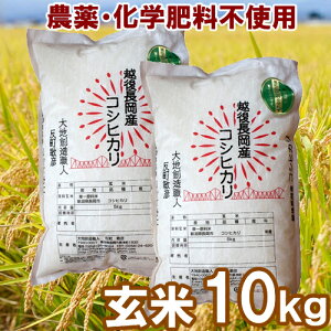 yYnz_Ew엿sgp RVqJ  Iׂ 2kg 5kg 10kg nnEl ߘa7NxV _ w엿 VYЂ BL ̂Ђ j yY Mtg v
