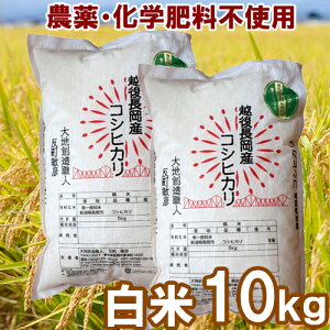 yYnz_Ew엿sgp V RVqJ  Iׂ 2kg 5kg 10kg nnEl ߘa7NxV _ w엿  VYЂ BL ̂Ђ j y