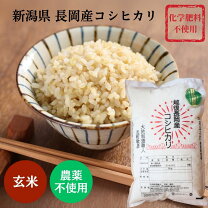 楽天市場】無農薬 コシヒカリ 新潟の通販