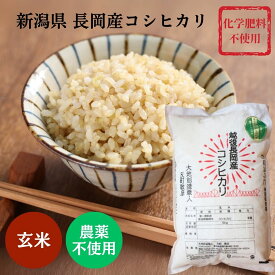 【産地直送】農薬・化学肥料不使用 コシヒカリ 玄米 選べる 2kg 5kg 10kg 大地創造職人 令和7年度新米 無農薬 無化学肥料 新潟県産こしひかり 非BL米 幻のこしひかり お祝い お土産 ギフト プレゼント 贈り物 長岡市 長岡産 農薬・化学肥料不使用