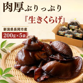 生きくらげ 国産 新潟県長岡市産 200g×5袋 合計1kg 大地創造職人 反町さんの生きくらげ 肉厚 ぷりぷり きくらげ 木耳 生キクラゲ サラダ 炒め物 中華料理 ラーメン